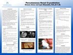 Percutaneous Renal Cryoablation