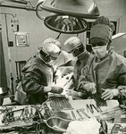 Surgeons and Nurse Operating on Patient by Misericordia University