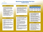 Bootstrap: Simulating the Cure