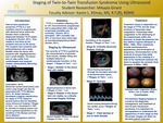 Staging of Twin-To-Twin Transfusion Syndrome Using Ultrasound by Mikayla Catherine Girard