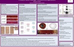 A Study of Bone Histology Procedures and Applications
