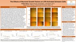 The Effects of Neuronal Growth Factors on LPS-Activated Schwann Cells by Caitlyn E. Henry, Peyton Kimmel, and Angela Asirvatham Ph.D.