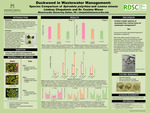 Duckweed in Wastewater Management: Species Comparison of Spirodela polyrhiza and Lemna minuta