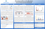 Microplastics Effect on Gut Microbiota by Victoria Rae Pellew