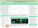 The Location of NF-kB and AKAP-95 in Lipopolysaccharide Treated RT4-D6P2T Schwannoma Cells