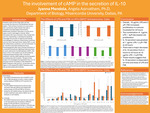 The Involvement of cAMP in the Secretion of IL-10
