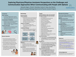 Exploring Physicians/Physician Assistants Perspectives on the Challenges and Communication Approaches when Communicating with People with Aphasia